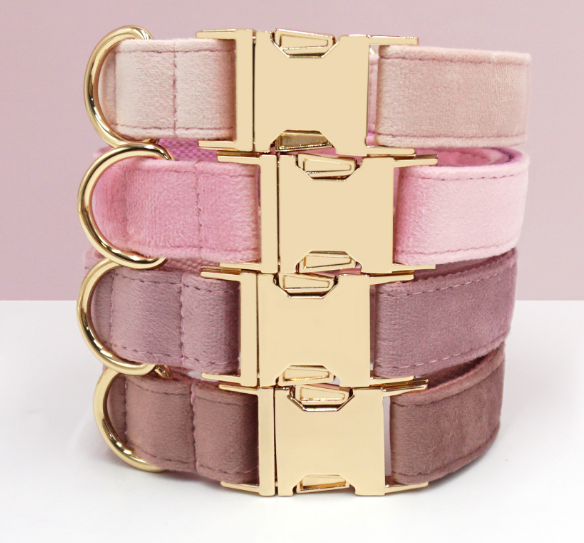 Personalised Engraved Dog Collars