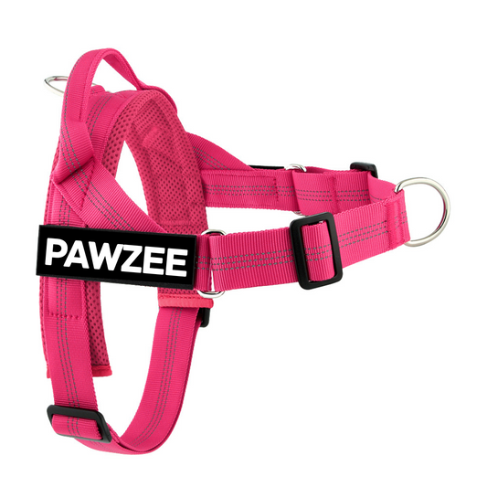 Pink Premium Personalised Dog Harness