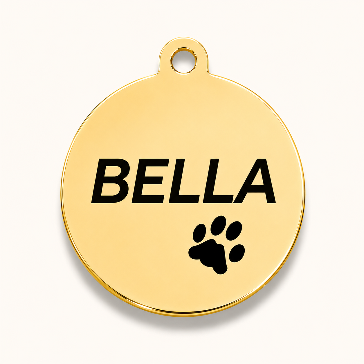 Stainless Design Round Pet ID Tags
